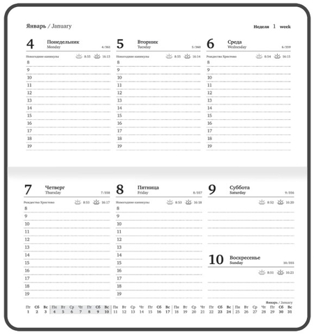 Еженедельник датированный на 2027 год Brauberg, 171*93 мм, 64 л., линия, «Кот»