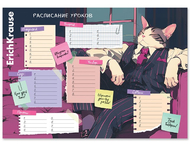 Расписание уроков ErichKrause А4
