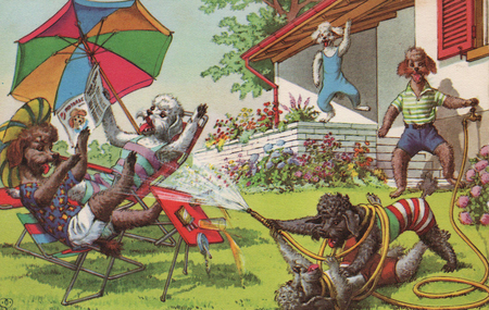 , «Пудели на лужайке 2» , «Пудели на лужайке 2»