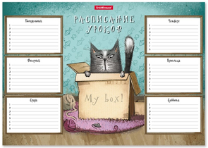 Расписание уроков ErichKrause Cat & Box, А4 (210×297 мм)