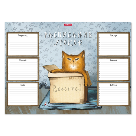Расписание уроков ErichKrause Cat & Box, А3 (297*410 мм)