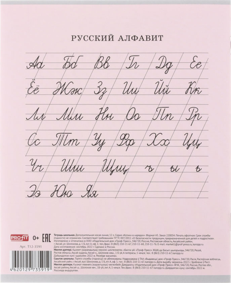 Тетрадь школьная А5, 12 л. на скобе «Котики в нарядах», 163*202 мм, косая линия, ассорти