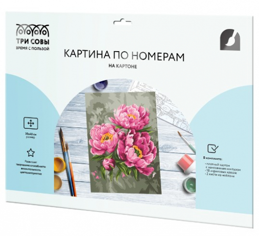 Картина по номерам на картоне «Три совы» 30×40 см, «Розовые пионы»