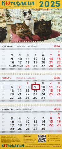 Календарь настенный трехрядный на 2025 год «Котовасия», 29,5*72 см