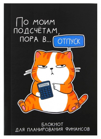 Блокнот для планирования финансов Cashbook 100×140 мм, 68 л., «Кот»