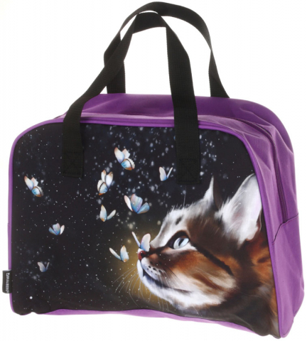 Сумка для внешкольных занятий Brauberg Active, 350*250*150 см, Dream Cat