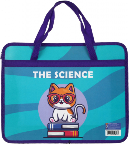 Папка для тетрадей «Пчелка», 330*260*90 мм, «Кот ученый»