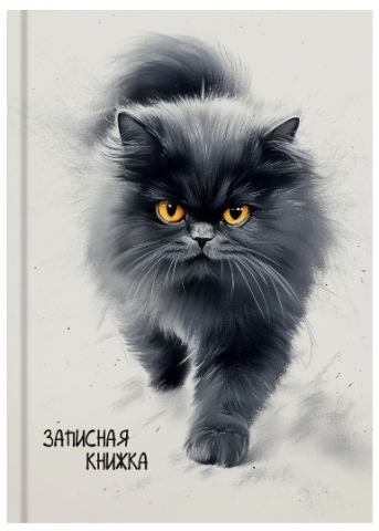 Книжка записная А6 «Пушистый кот-5», 105*150 мм, 96 л., клетка