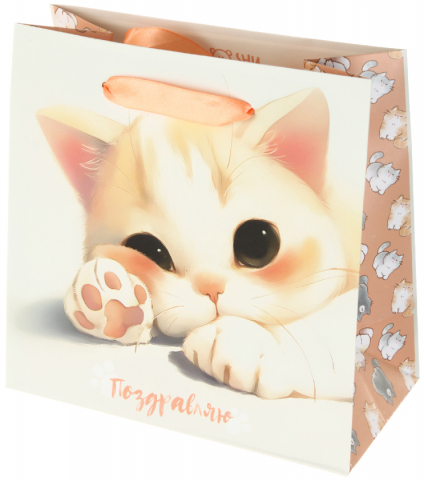 Пакет подарочный Meshu 20×20×10 см, Lovely Kitten Пакет подарочный Meshu 20×20×10 см, Lovely Kitten