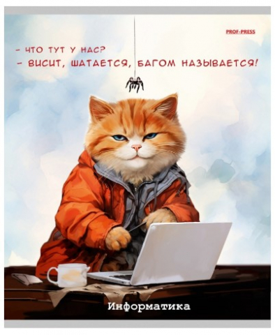 Тетрадь предметная А5, 48 л. на скобе «Жил-был кот» 170×207 мм, клетка, «Информатика»