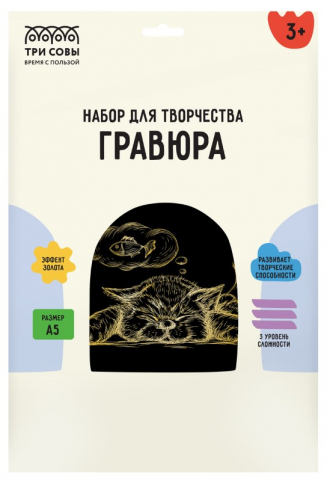 Набор для творчества «Гравюра. Три совы» А5 «Спящий кот», с эффектом золотистого металлика