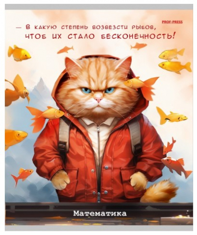 Тетрадь предметная А5, 48 л. на скобе «Жил-был кот» 170×207 мм, клетка, «Математика»
