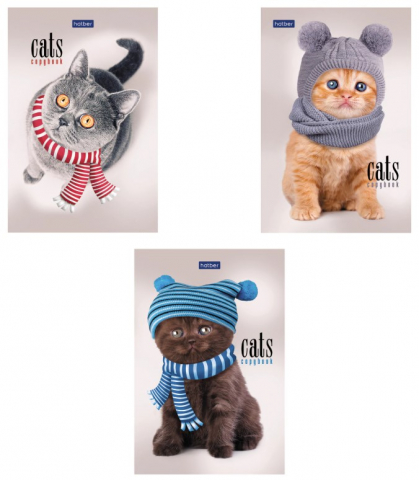 Блокнот на склейке Hatber «Кототерапия» (А6), 110*145 мм, 40 л., клетка, ассорти Блокнот на склейке Hatber «Кототерапия» (А6), 110*145 мм, 40 л., клетка, ассорти