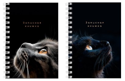 Книжка записная на гребне «Взгляды котиков», 106*144 мм, 80 л., клетка, ассорти