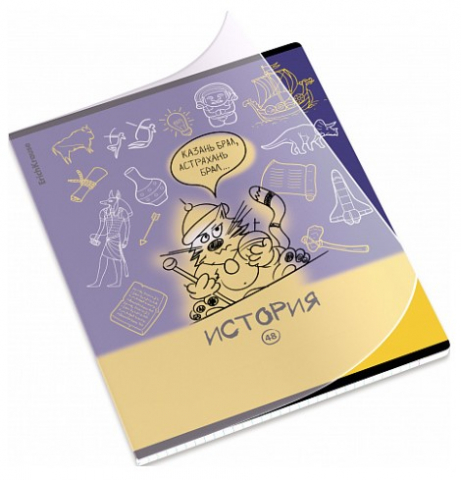 Тетрадь предметная А5, 48 л. на скобе «Котоформулы» 170×203 мм, клетка, «История»