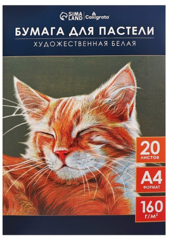 Бумага для пастели А4 «Кот», 20 л., 160 г/м2