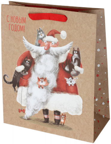 Пакет подарочный крафт Meshu 26×32×12 см, Father Frost