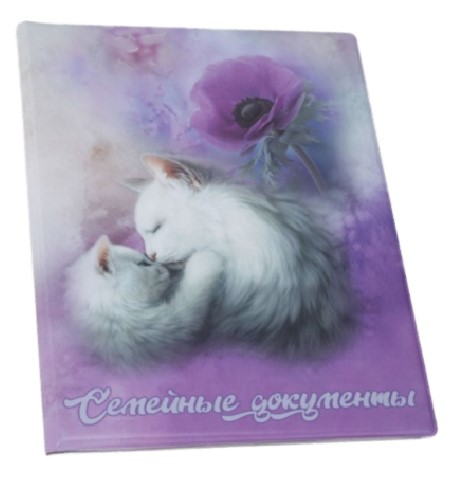 Папка для семейных документов 22,5× 31 см, «Котенок» (9 листов) Папка для семейных документов 22,5× 31 см, «Котенок» (9 листов)