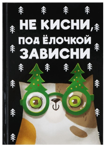 Ежедневник недатированный Sima-Land, 145*205 мм, 80 л., «Не кисни, под елочкой» Ежедневник недатированный Sima-Land, 145*205 мм, 80 л., «Не кисни, под елочкой»
