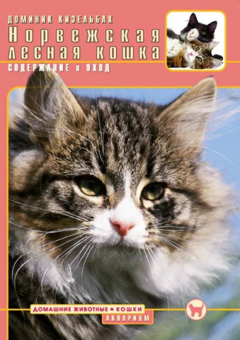 Книга «Норвежская лесная кошка. Содержание и уход», 165*240 мм, 64 с., с иллюстрациями, перевод с немецкого