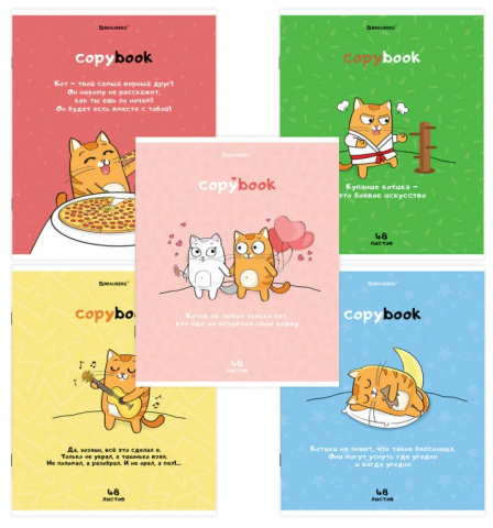 Тетрадь общая А5, 48 л. на скобе «Кот-Энтузиаст», 165*205 мм, клетка, ассорти