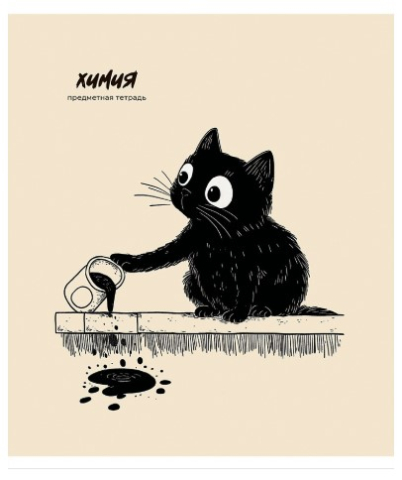 Тетрадь предметная А5, 48 л. на скобе Bad Cat 165×205 мм, клетка, «Химия» Тетрадь предметная А5, 48 л. на скобе Bad Cat 165×205 мм, клетка, «Химия»