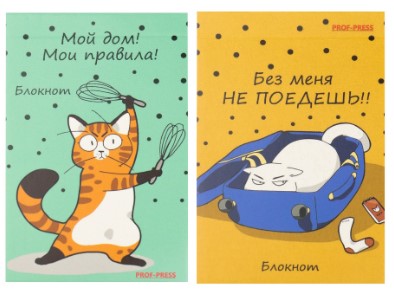 Блокнот на склейке Prof-Press А7, 65*100 мм, 48 л., клетка, «Балованные котики», ассорти