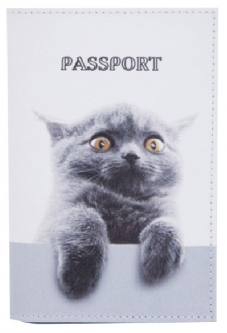 Обложка для паспорта Sima-Land, 95*135 мм, «Зеньки»
