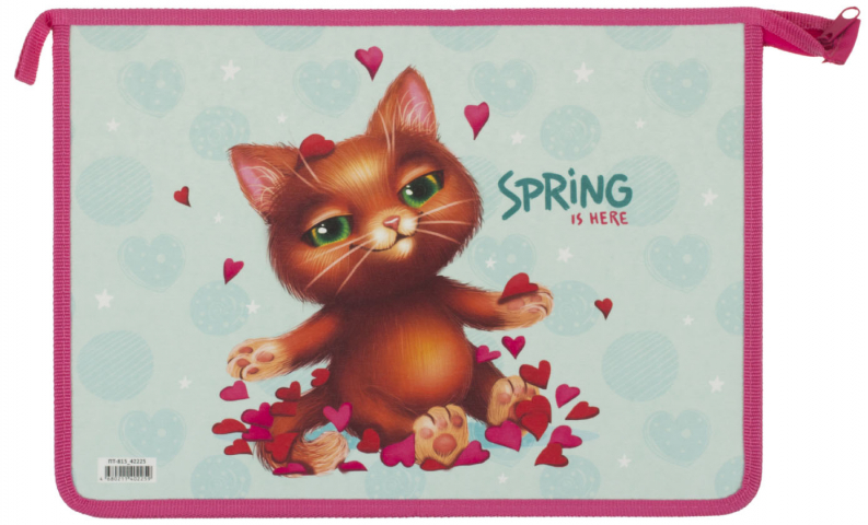 Папка для тетрадей ArtSpace (40 мм) 340×240×40 мм, Spring cat
