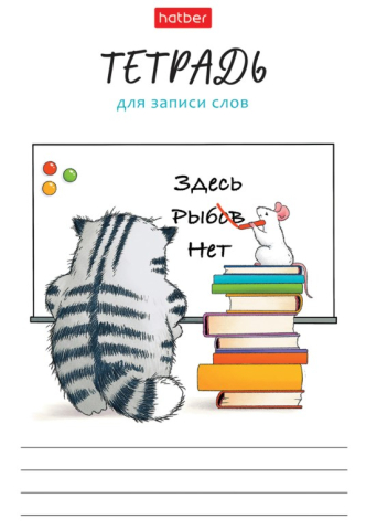 Тетрадь для записи иностранных слов Hatber, 105*148 мм, 24 л., линия, «Кот Пирожок»