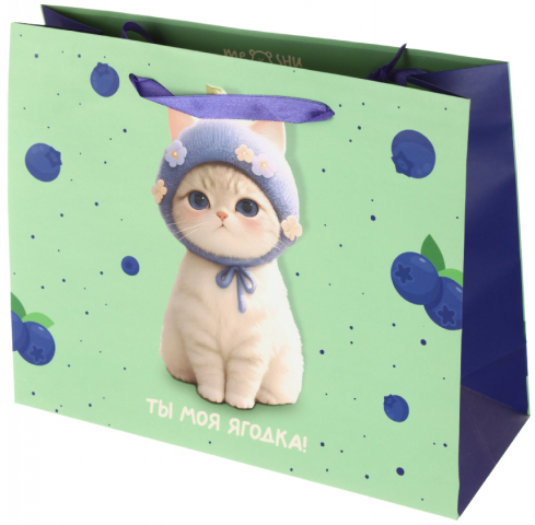 Пакет подарочный Meshu 32×26×12 см, Berry Cat Пакет подарочный Meshu 32×26×12 см, Berry Cat