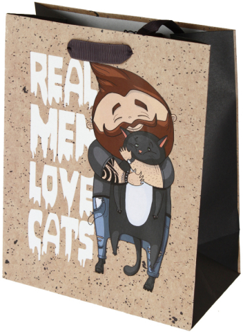 Пакет подарочный крафт Meshu 18×23×10 см, Real Men, выборочный УФ-лак
