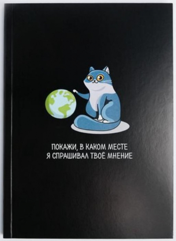 Ежедневник недатированный «Котик. Покажи в каком месте», А5, 80 л., линия