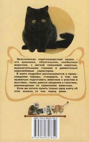 Книга «Экзотическая короткошерстная кошка. Плюшевое чудо», 125*200 мм, 112 с., с иллюстрациями