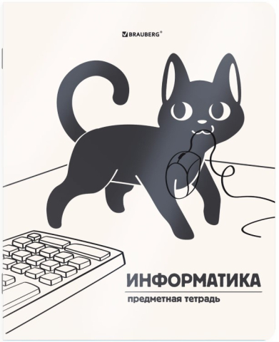 Тетрадь предметная А5, 48 л. на скобе «Кот-непоседа», 165*202 мм, клетка, «Информатика»