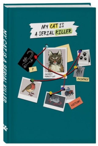 Блокнот креативный My Cat is a Serial Killer 206×145×15 мм, 72 л. (серый кот)