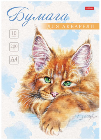Папка для акварели Hatber, А4 (210*297 мм), 10 л., «Рыжий котик» Папка для акварели Hatber, А4 (210*297 мм), 10 л., «Рыжий котик»