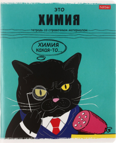 Тетрадь предметная А5, 48 л. на скобе «Черный кот» 165×205 мм, клетка, «Химия»