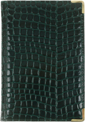 Ежедневник недатированный Business Premium (А5), 145*210 мм, 152 л., Iguana, изумрудный