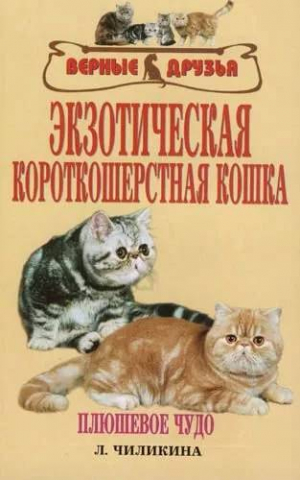 Книга «Экзотическая короткошерстная кошка. Плюшевое чудо», 125*200 мм, 112 с., с иллюстрациями