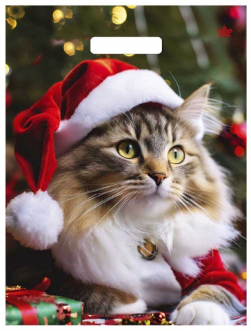 Пакет упаковочный «Тико-пластик» (30*40 см), 30*40 см, «Новогодний мур» Пакет упаковочный «Тико-пластик» (30*40 см), 30*40 см, «Новогодний мур»