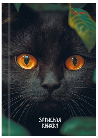 Книжка записная А6 «Взгляд черного кота», 106*150 мм, 96 л., клетка