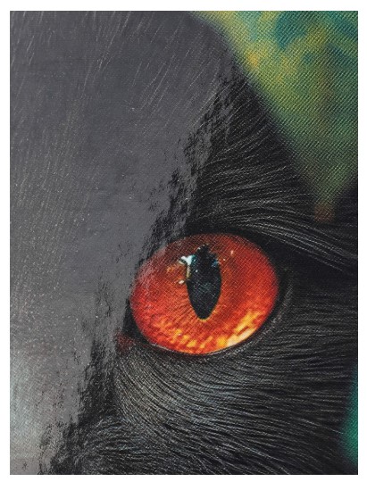 Книжка записная А6 «Взгляд черного кота», 106*150 мм, 96 л., клетка