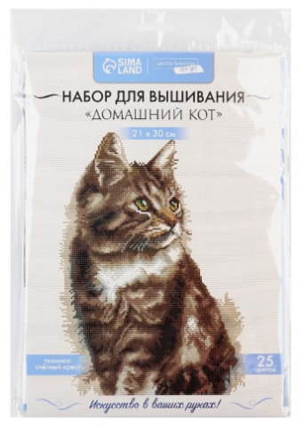 Набор для вышивания крестиком «Домашний кот», 21*30 см