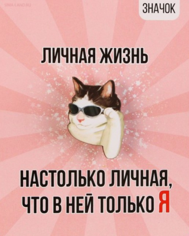Значок деревянный «Кот в очках», 2,4*3,2 см