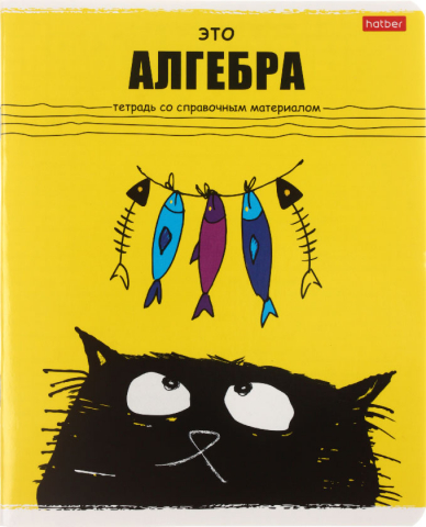 Тетрадь предметная А5, 48 л. на скобе «Черный кот» 165×205 мм, клетка, «Алгебра»