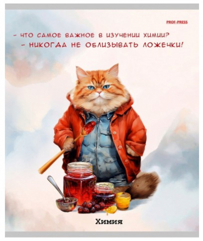 Тетрадь предметная А5, 48 л. на скобе «Жил-был кот» 170×207 мм, клетка, «Химия»
