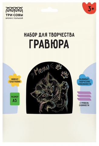 Набор для творчества «Гравюра. Три совы» А5, «Котенок» Meow, с голографическим эффектом